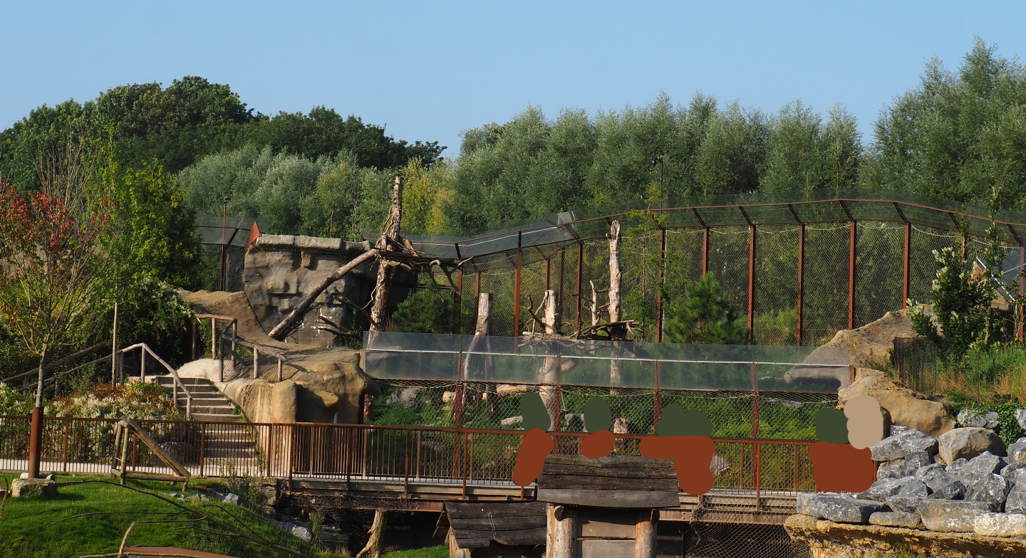 Mountain lion exhibit, 2021-09-02