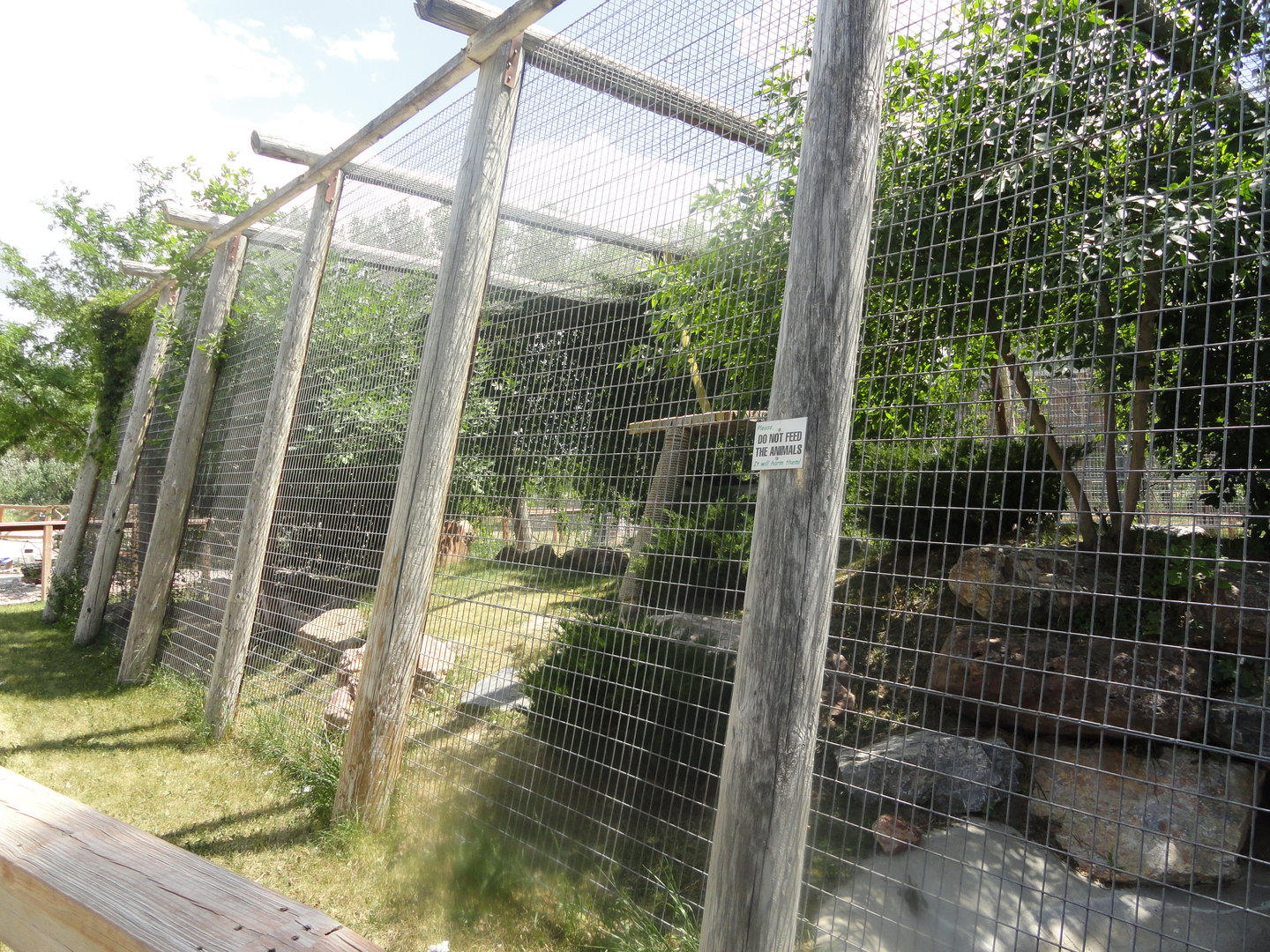 Mountain Lion Exhibit - Old African Leopard Exhibit