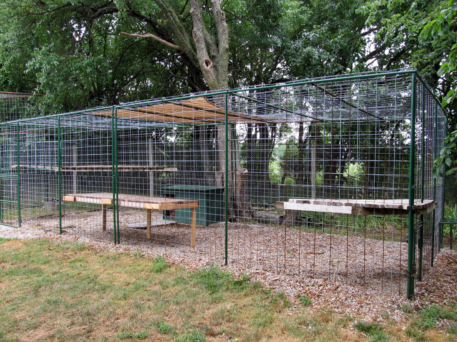 Mountain Lion Exhibit