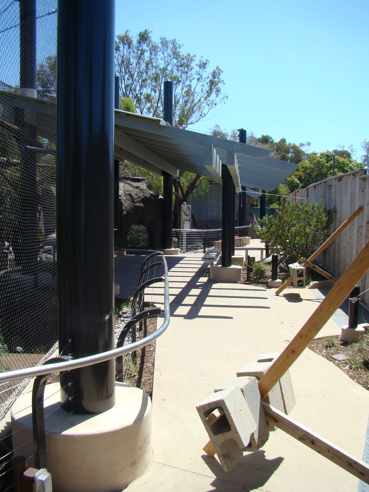 Mountain Lion exhibit