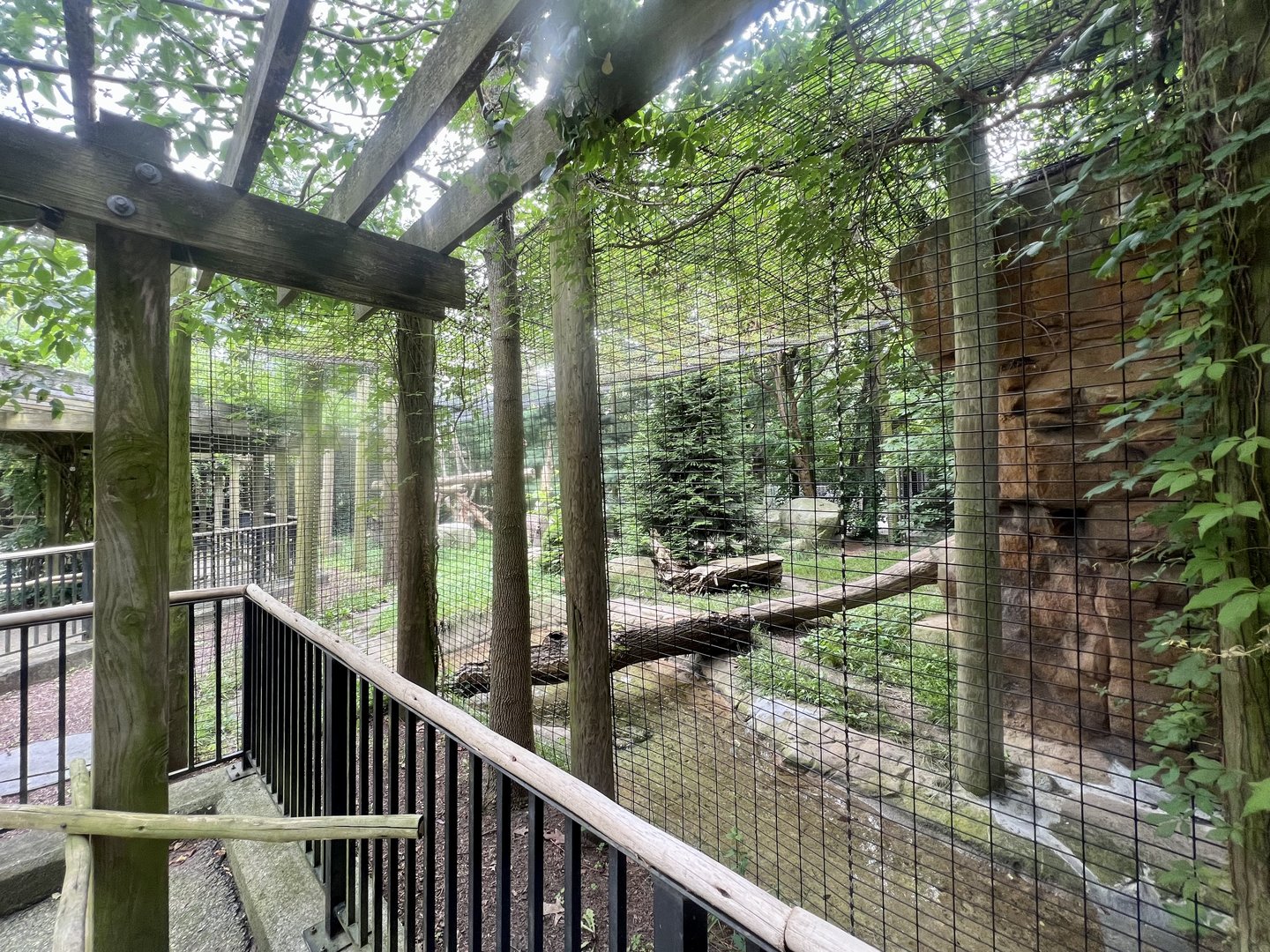 Mountain Lion Exhibit