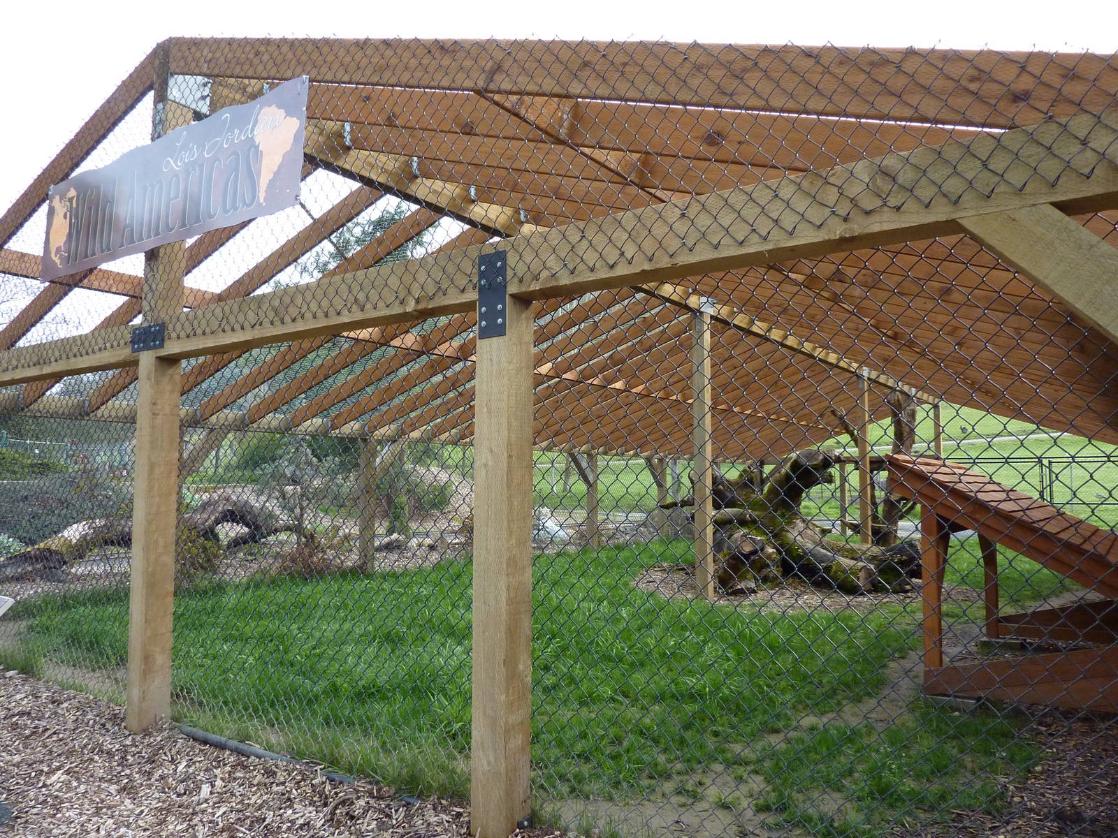 Mountain Lion Exhibit