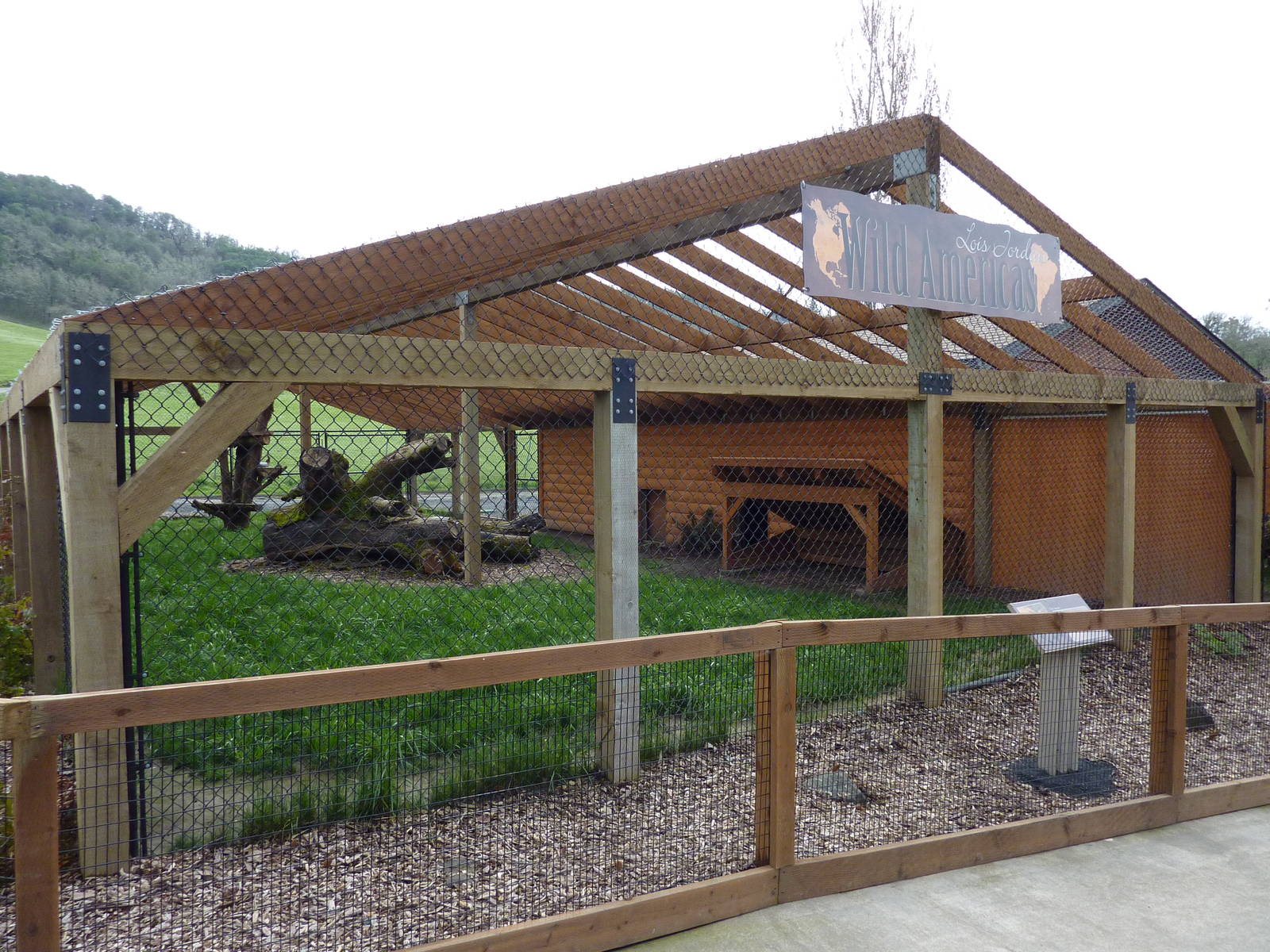 Mountain Lion Exhibit