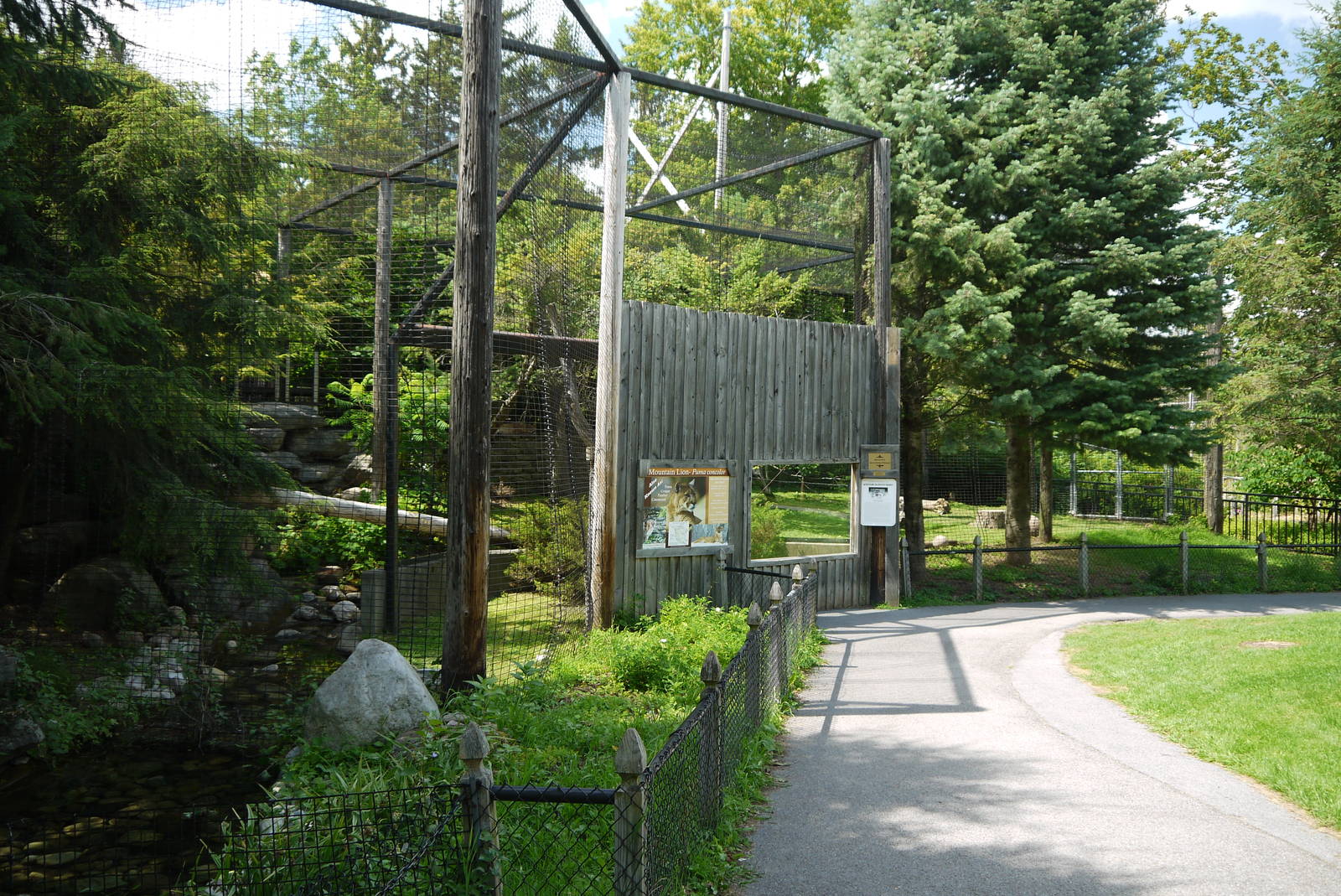 Mountain Lion exhibt