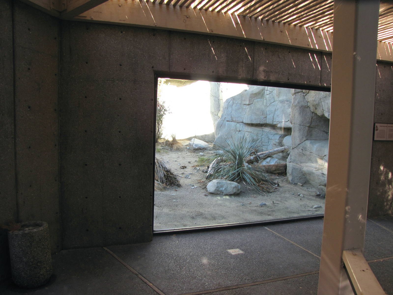 Mountain Lion Habitat