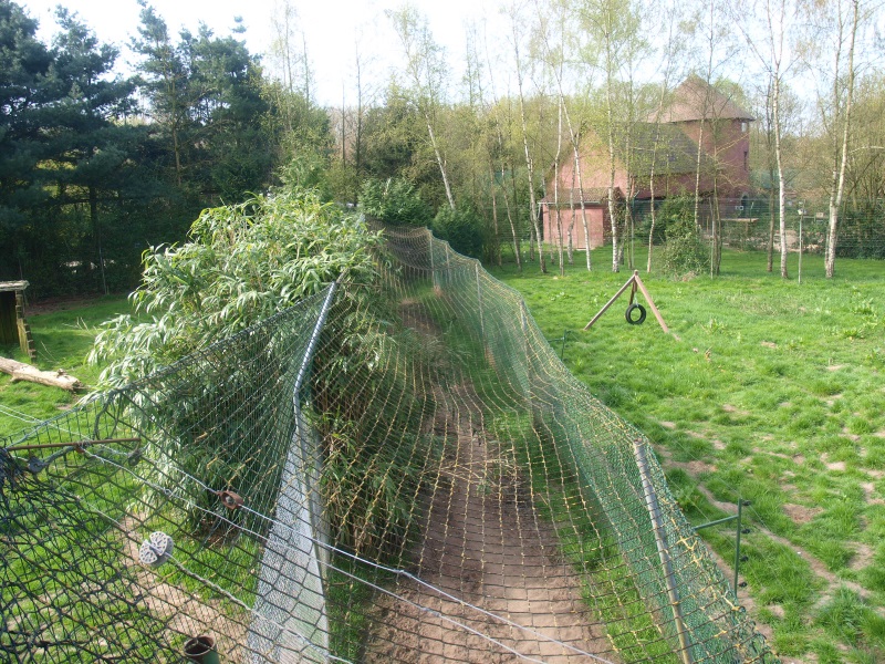 Mountain lion separation area (April 19th, 2015)