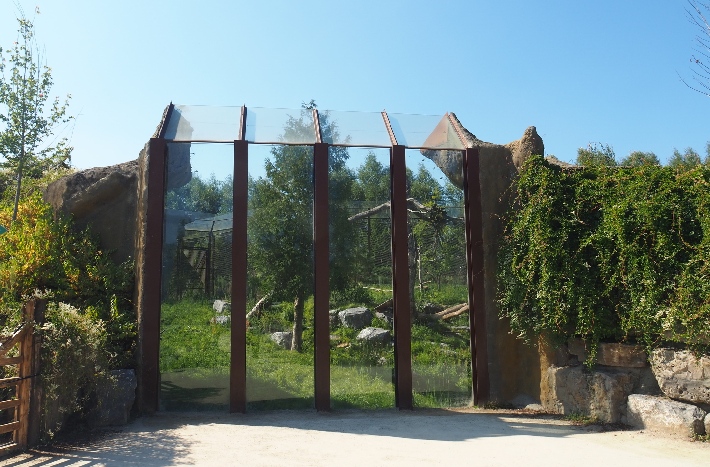 Mountain lion viewing area, 2021-09-03