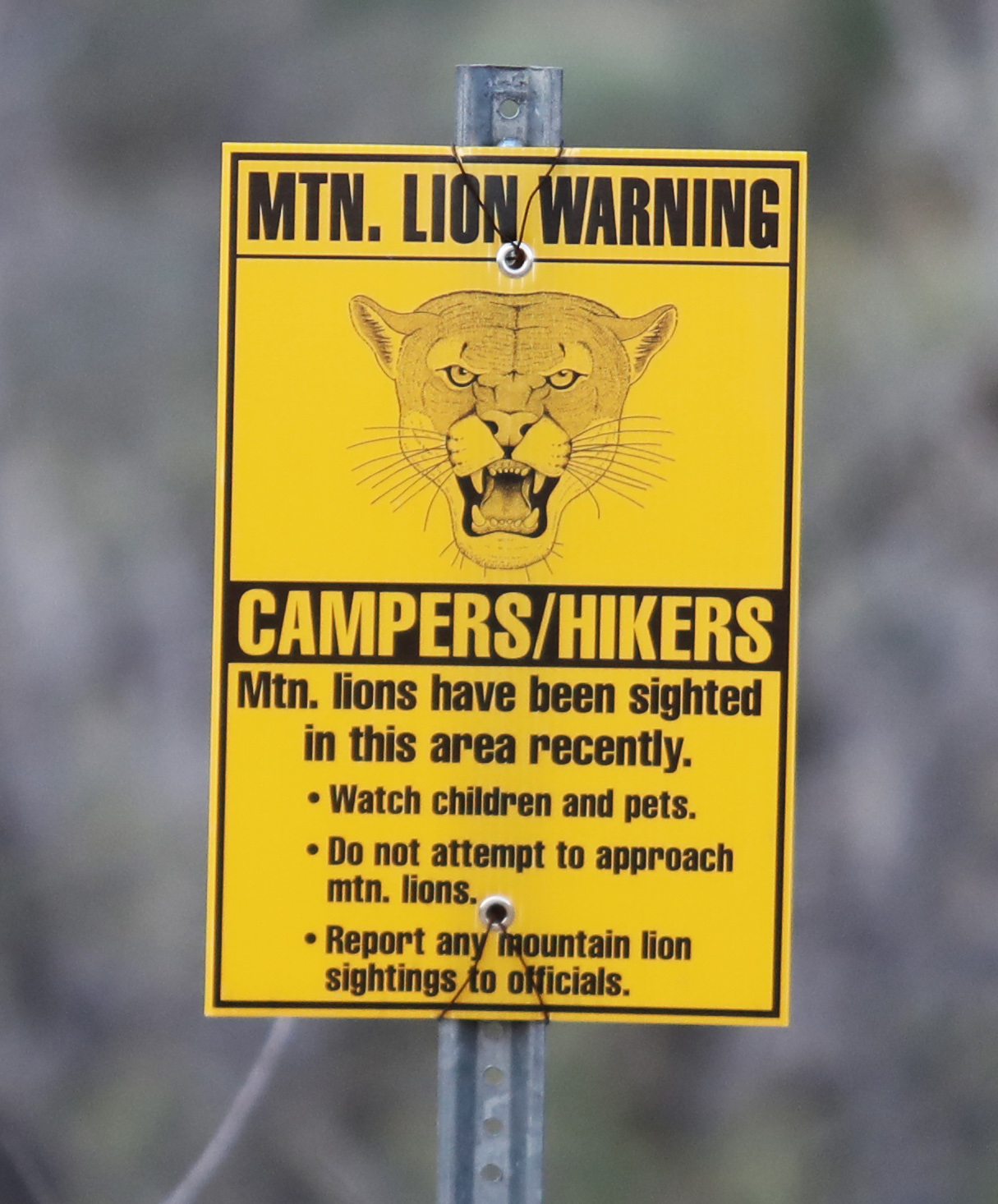 Mountain Lion Warning Sign