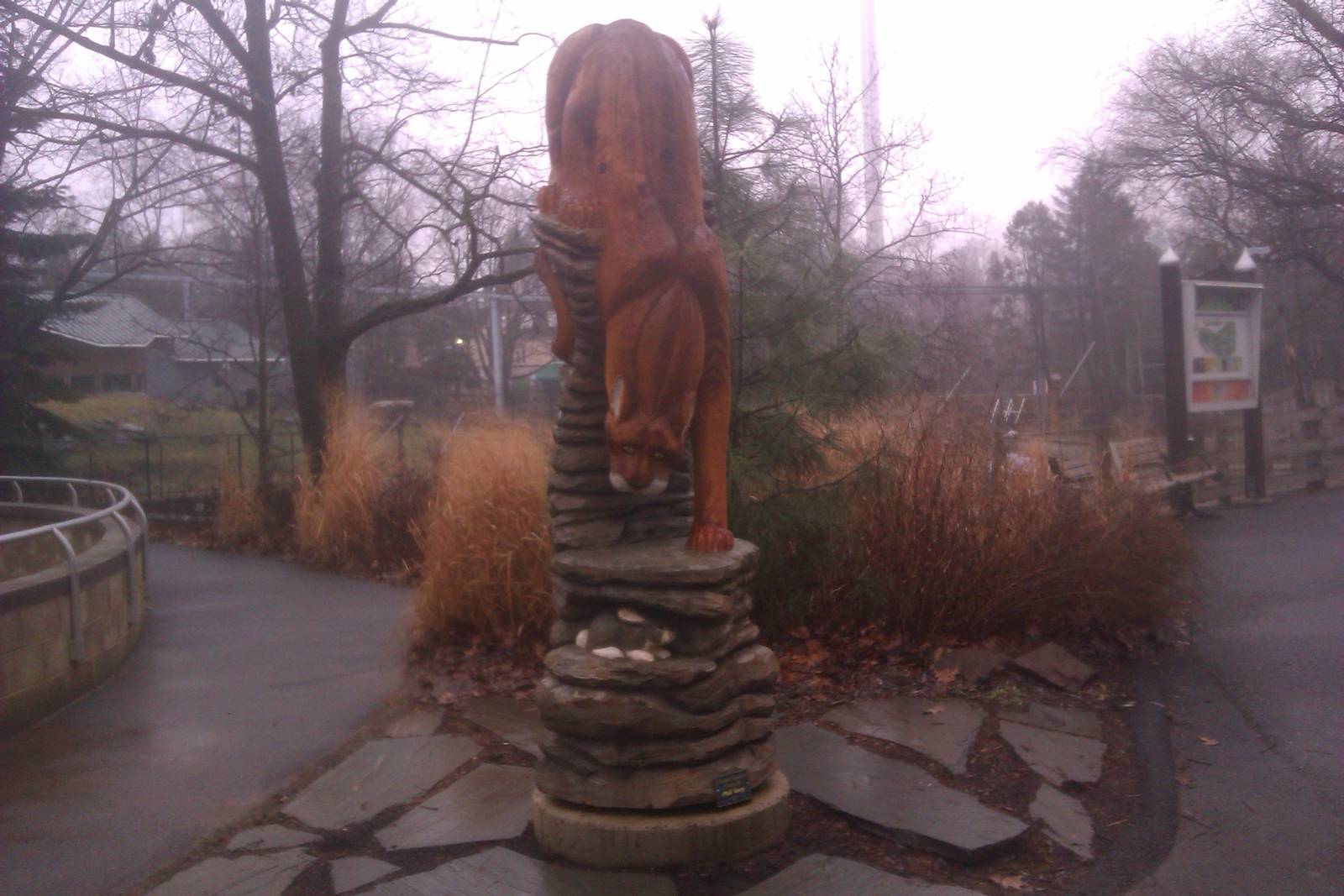 Mountain Lion wood Carving