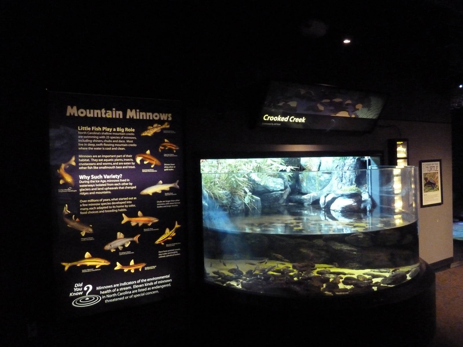 Mountain Minnows Exhibit