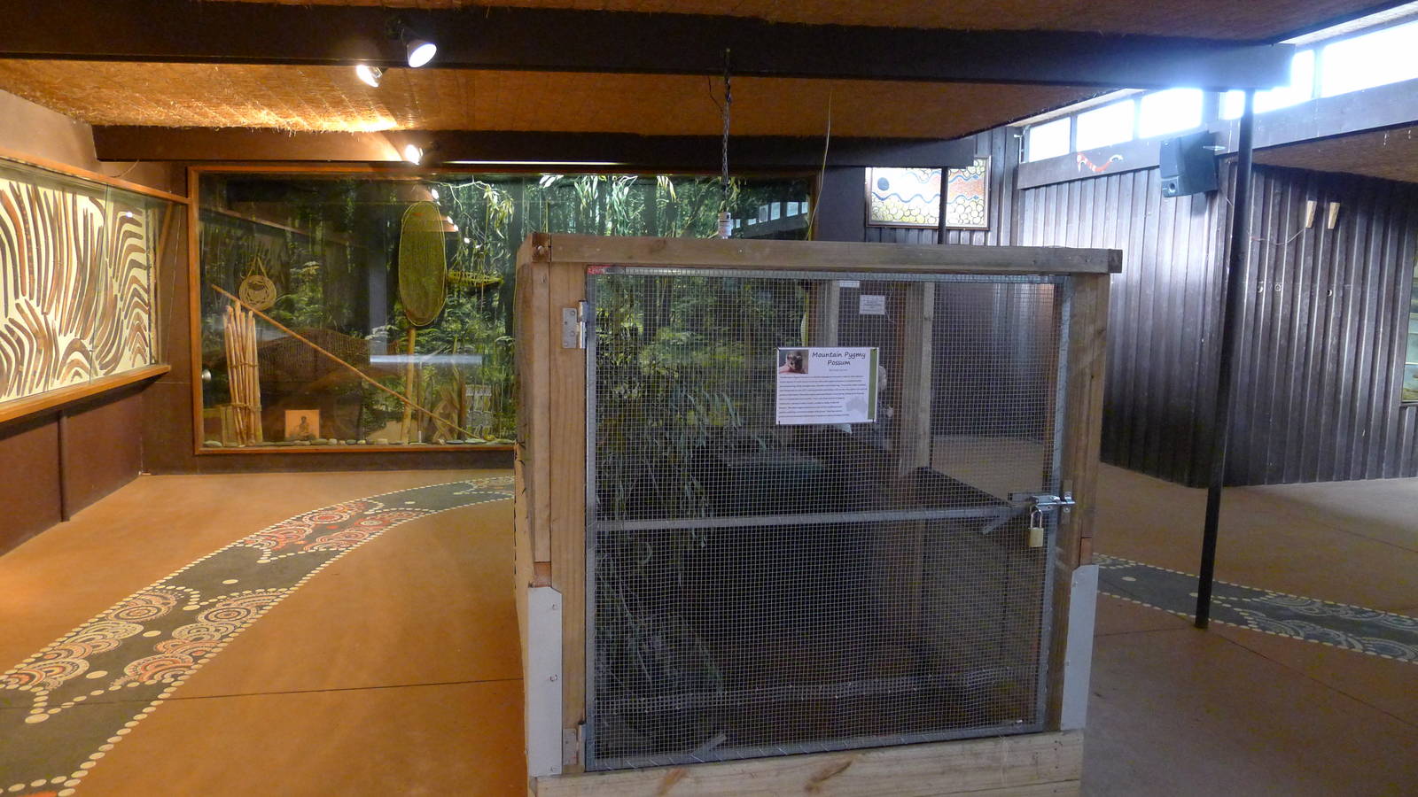 Mountain Pygmy Possum cage