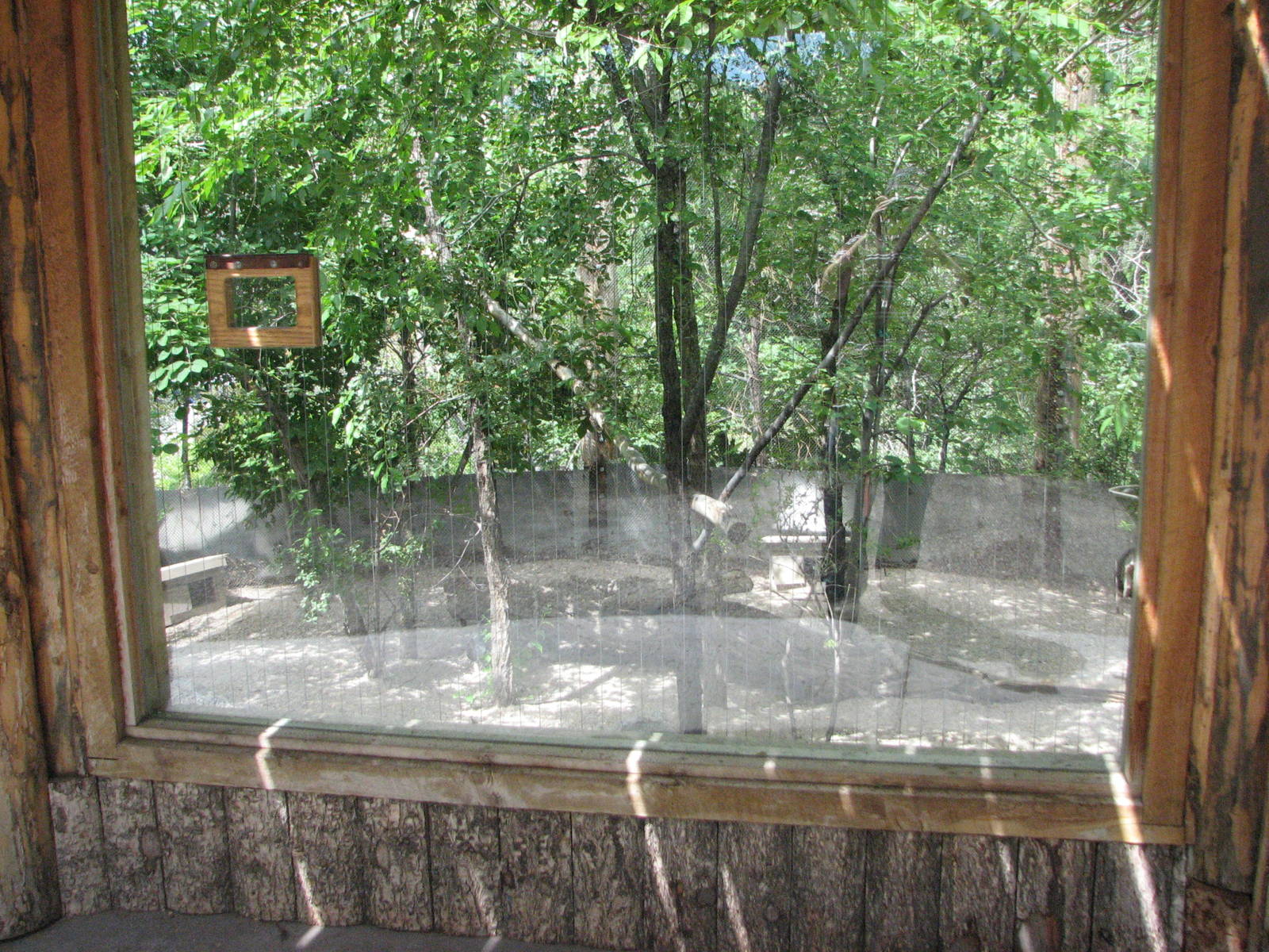 Mountain Quail and Ruffed Grouse Exhibit