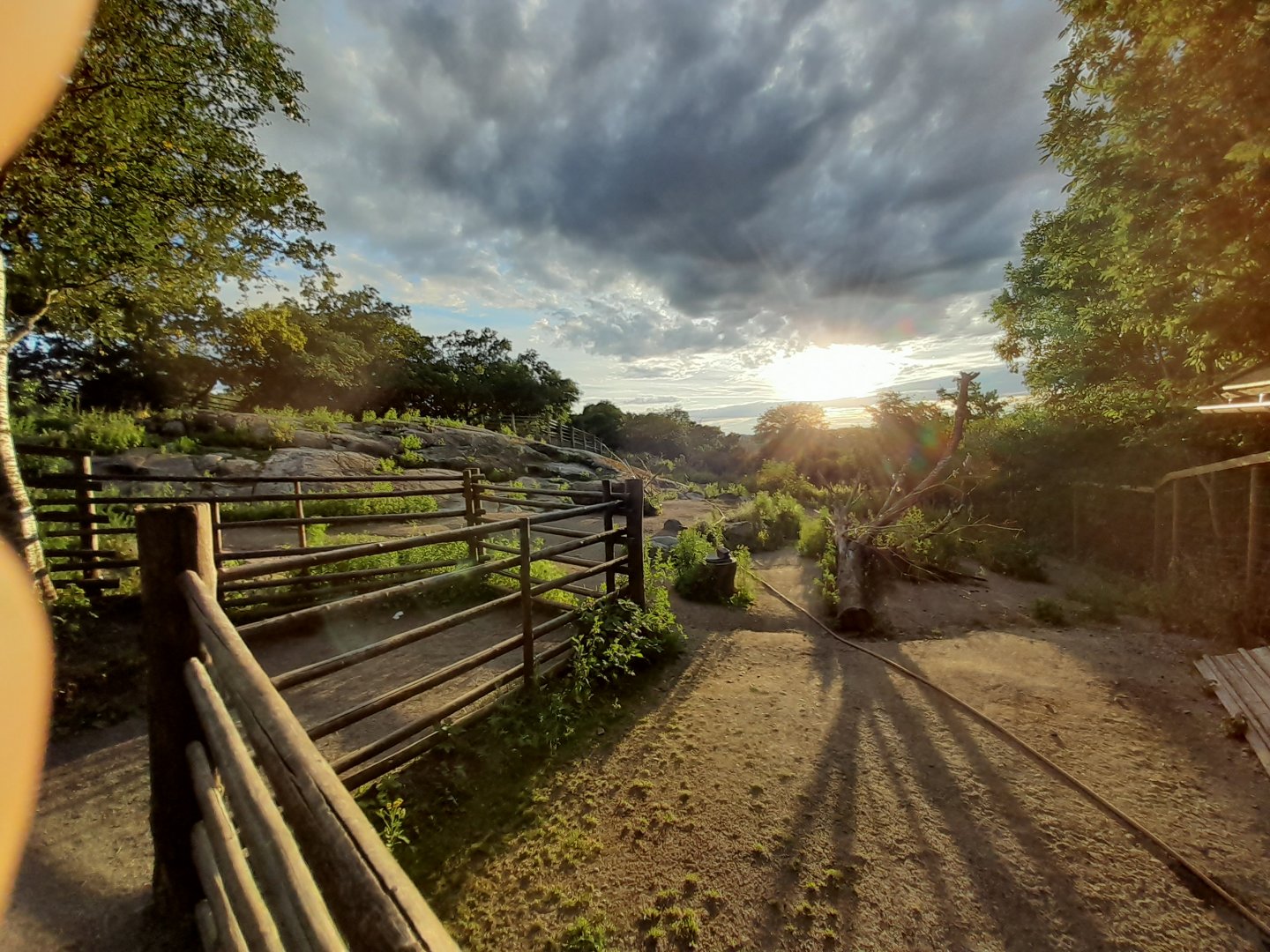Mountain reindeer enclosure
