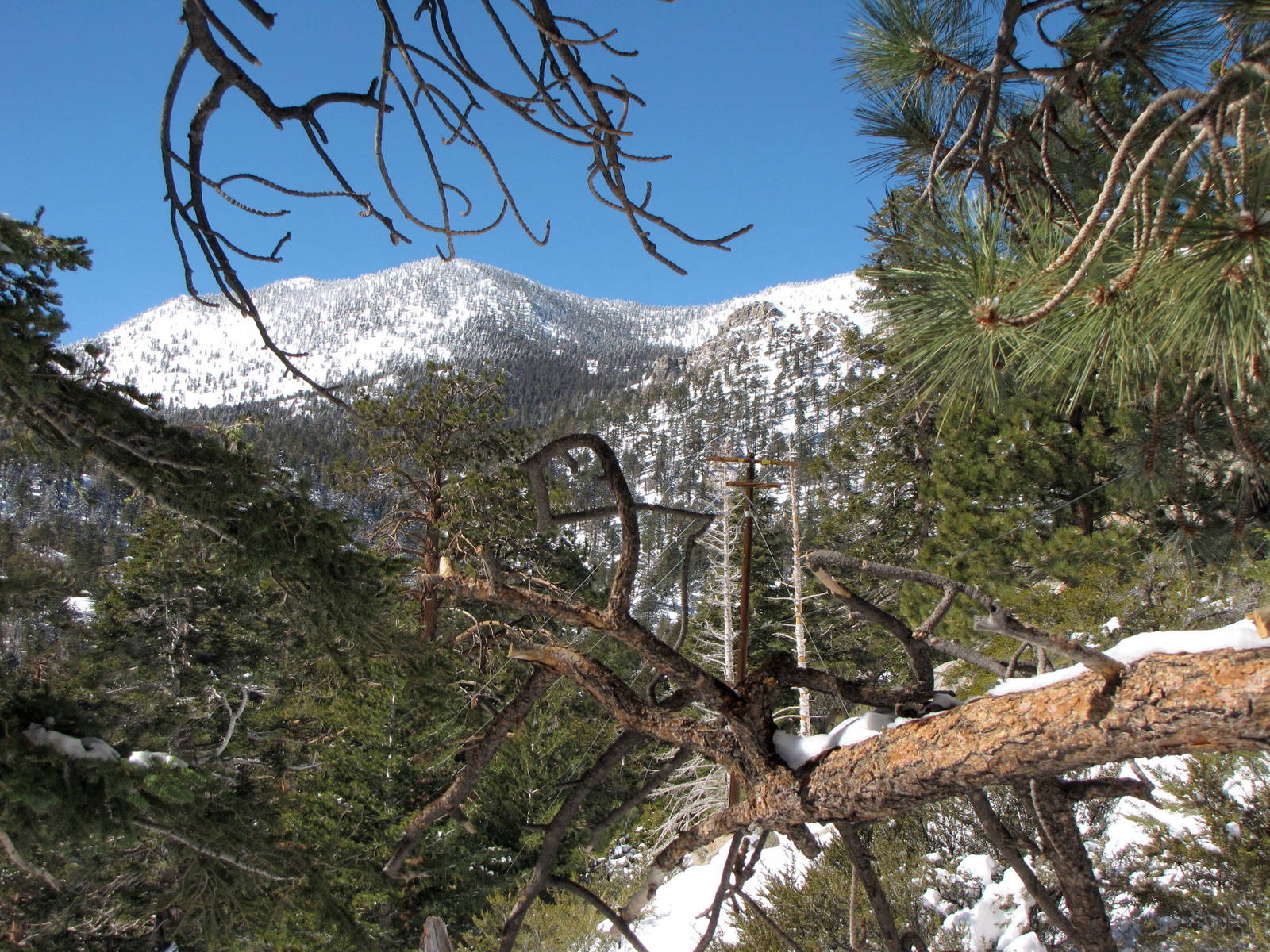 Mountain Scenery High Above Palm Springs, California
