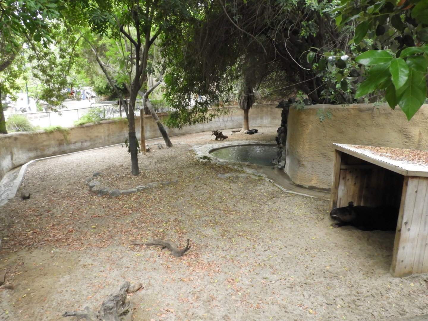 Mountain tapir enclosure