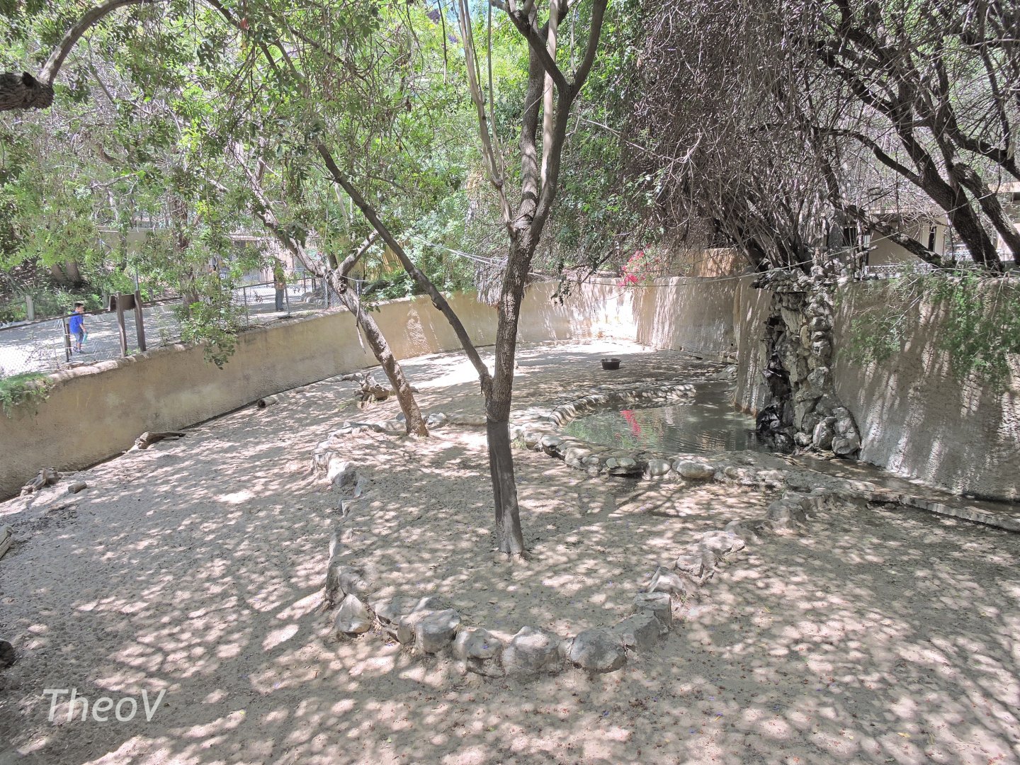 Mountain tapir exhibit - Rainforest of The Americas [2015]