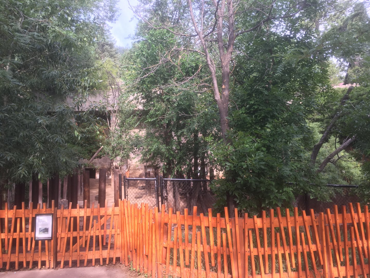 Mountain tapir exhibit