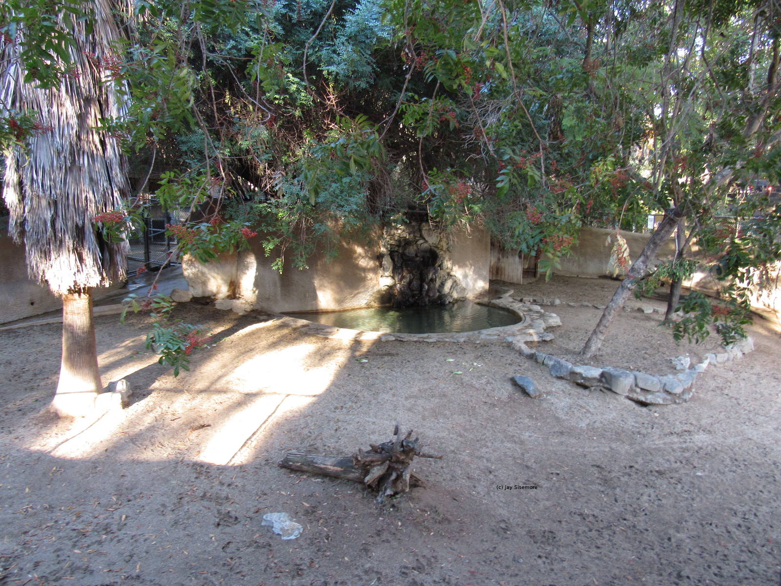 Mountain Tapir Habitat