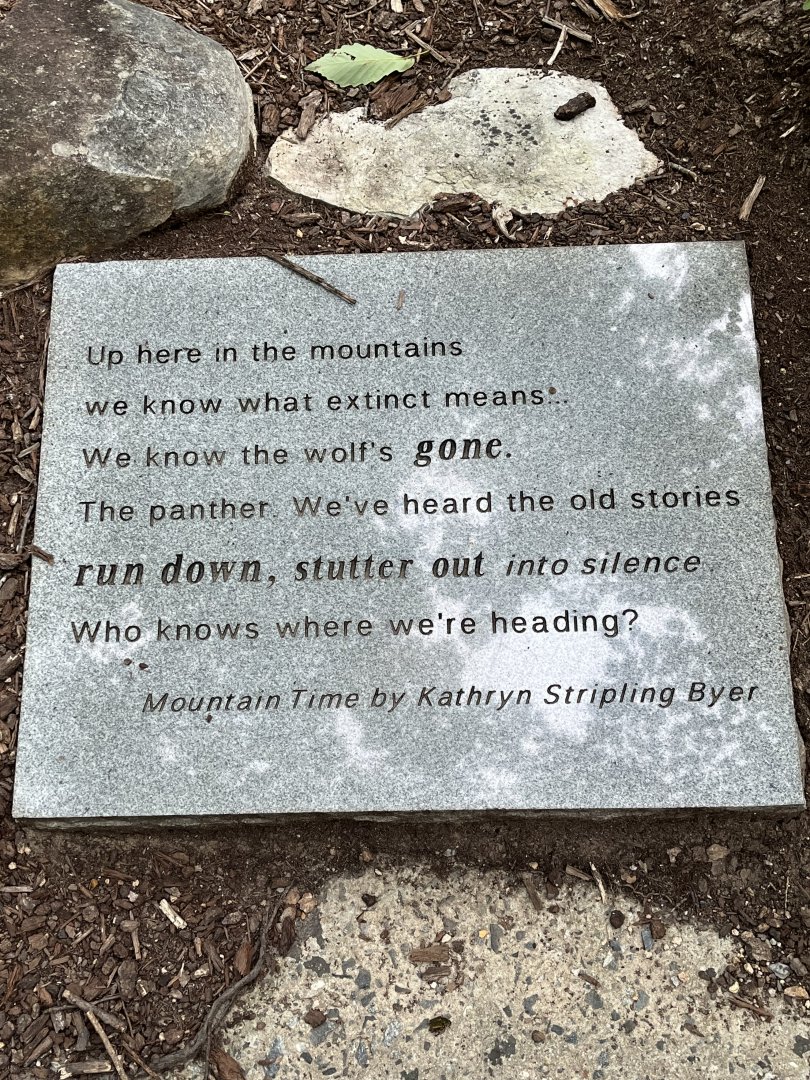 “Mountain Time” by Kathryn Stripling Byer