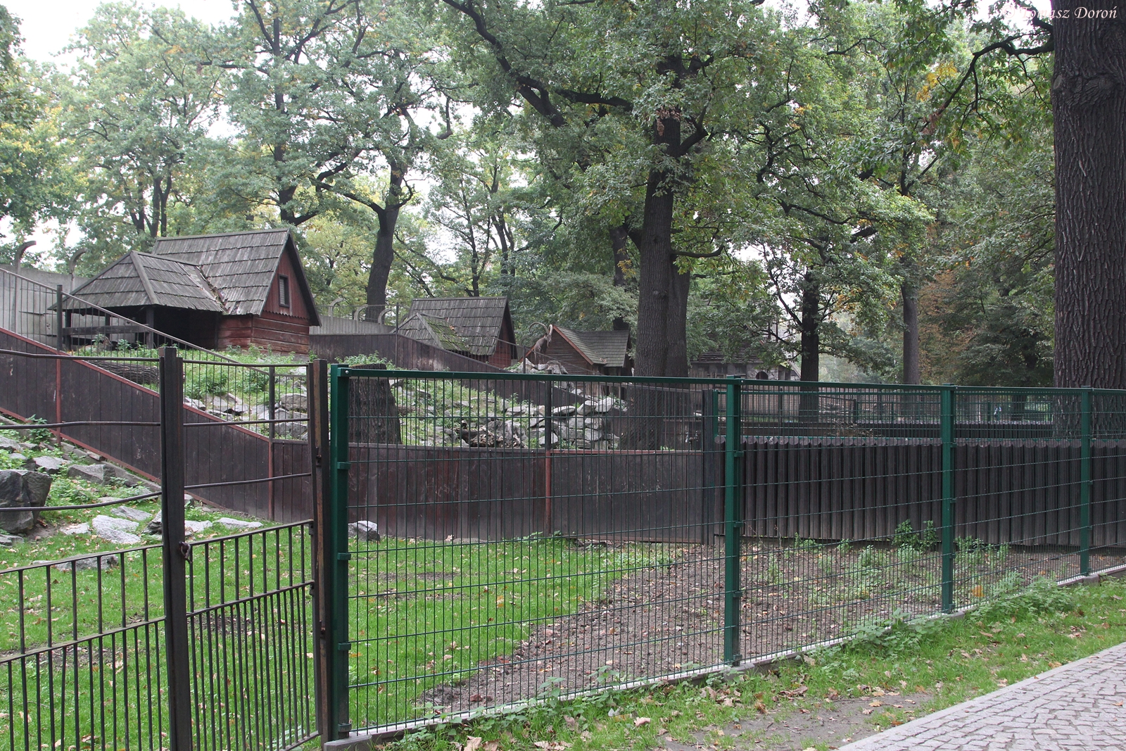 Mountain Ungulates enclosures