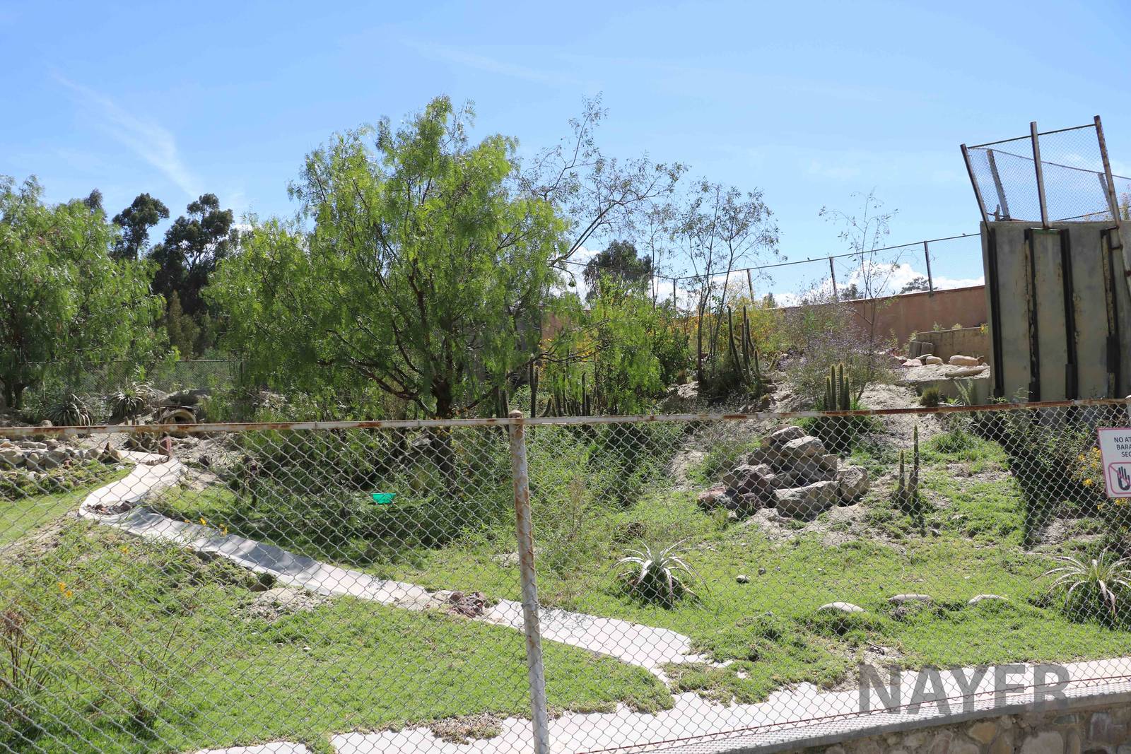 Mountain viscacha enclosure, March 2016