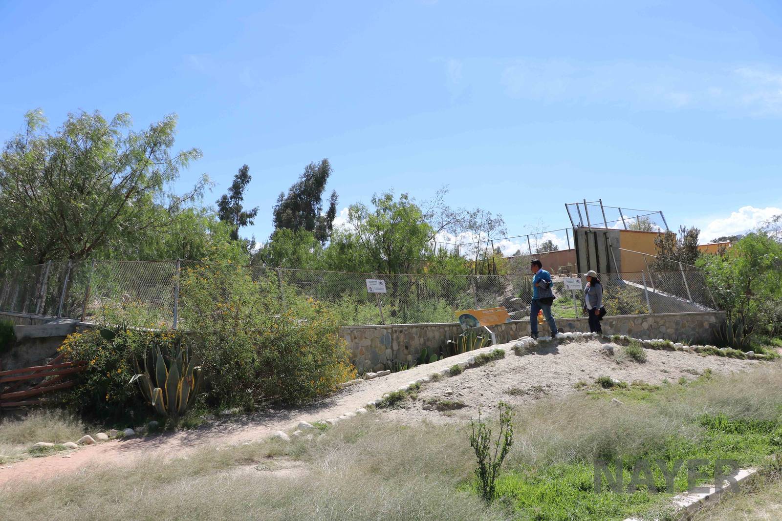 Mountain viscacha viewing area, March 2016