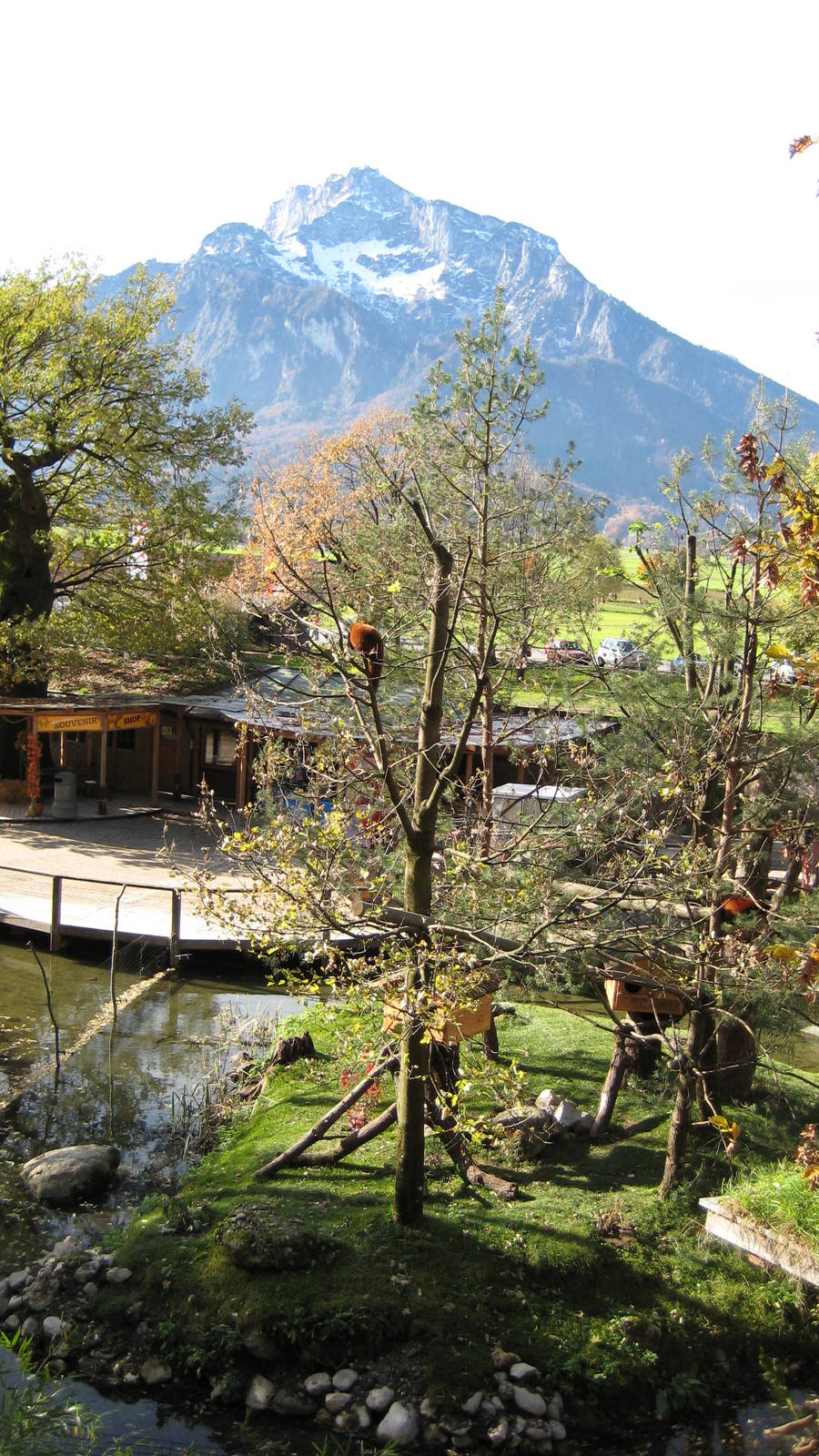 Mountain with red Panda Exhibit