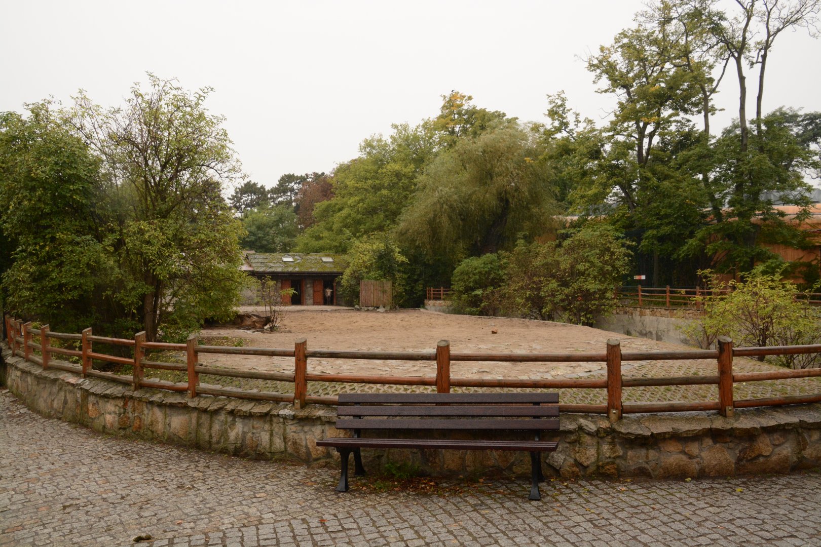 Mountain Zebra enclosure
