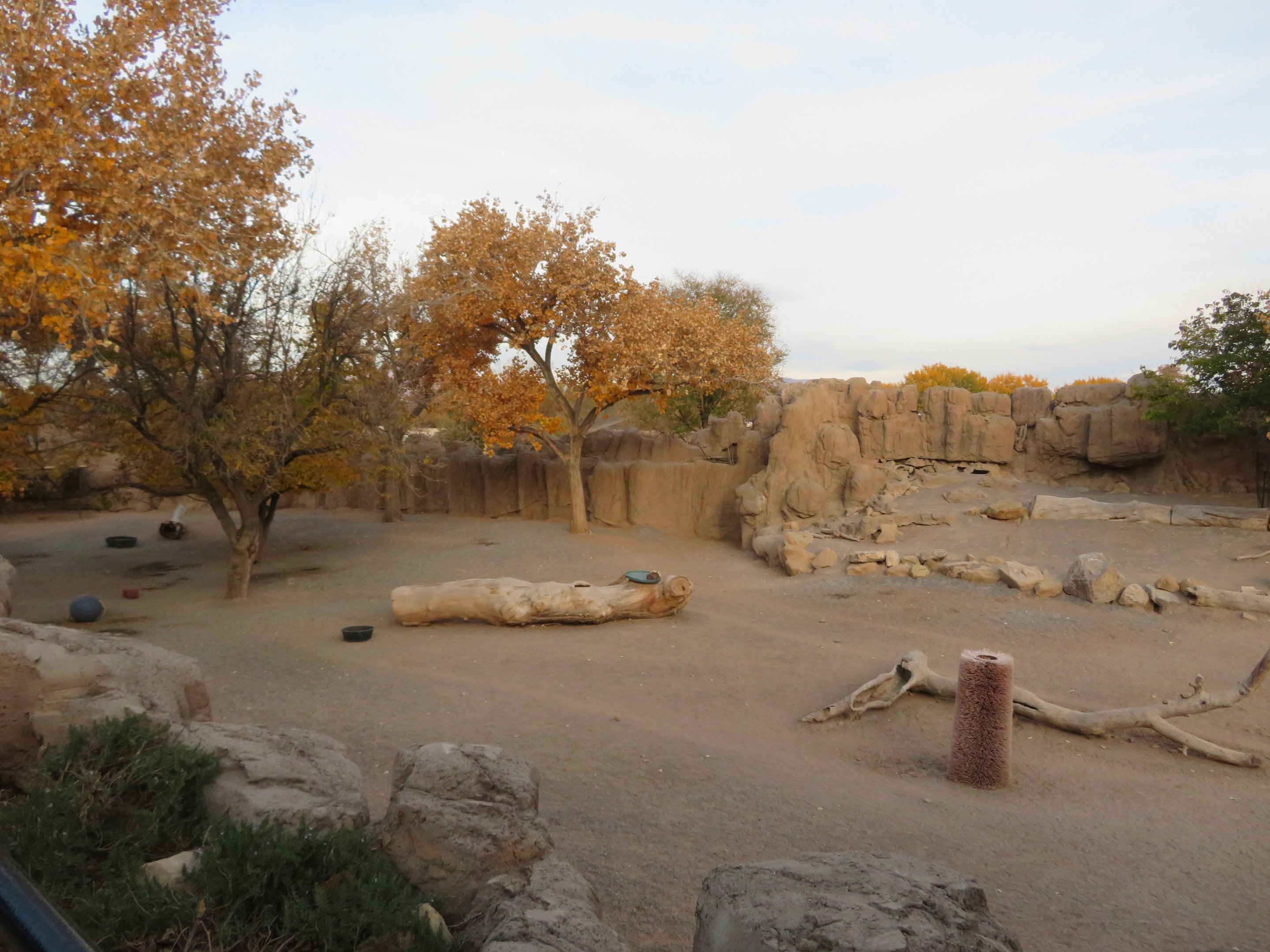 Mountain Zebra Enclosure