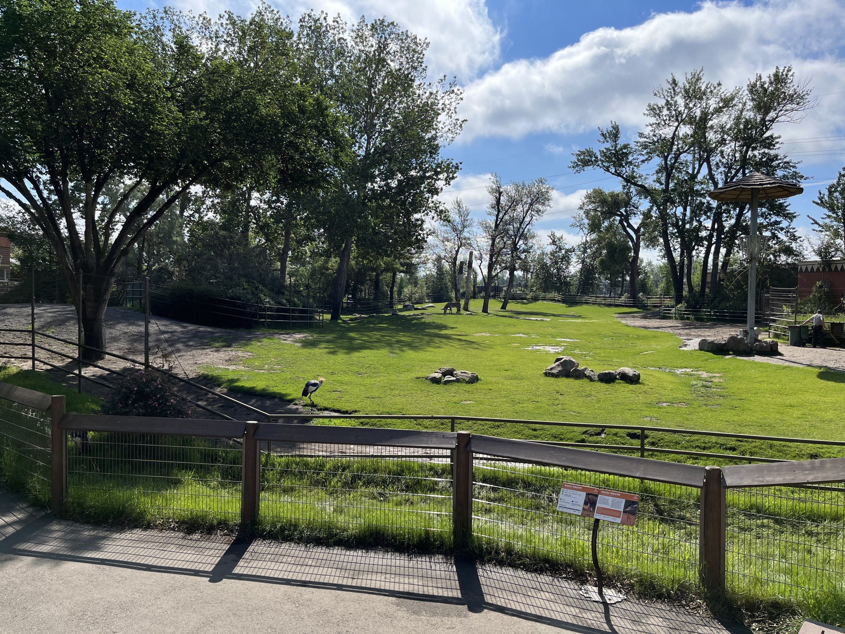Mountain Zebra/Ostrich/Crane Exhibit