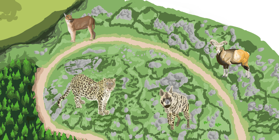 Mountains of Anatolia - Map of Turkish exhibit