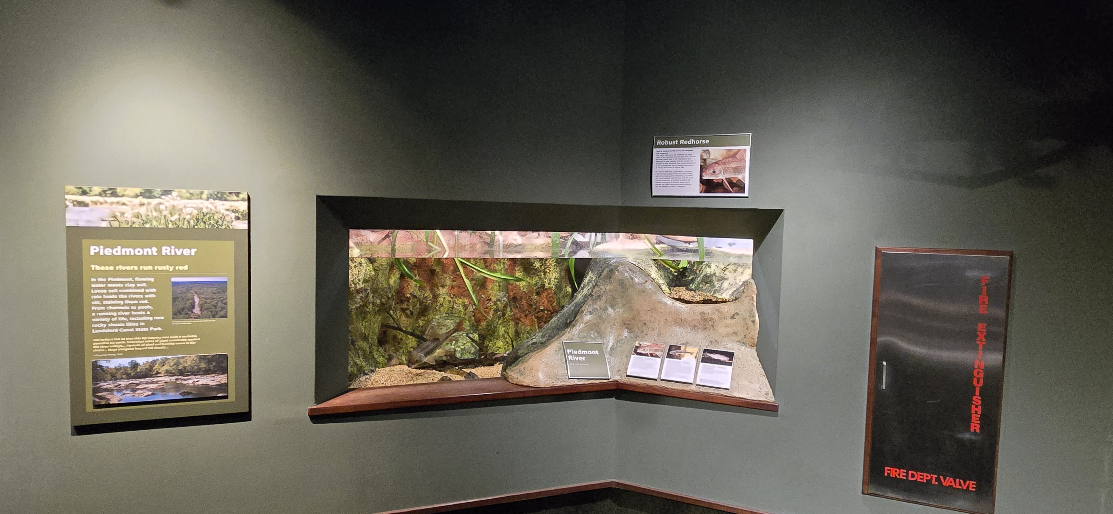 Mountains - Piedmont River