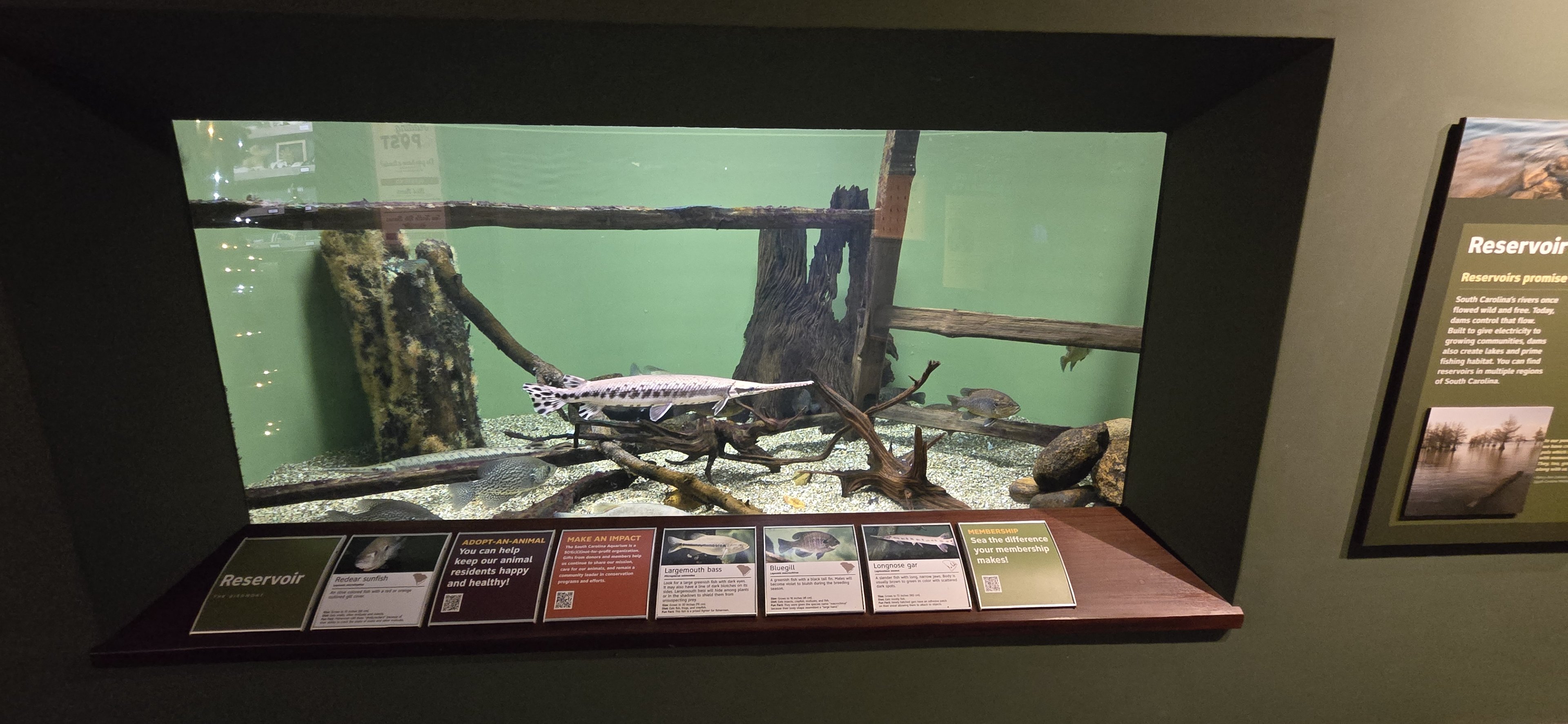 Mountains - Reservoir