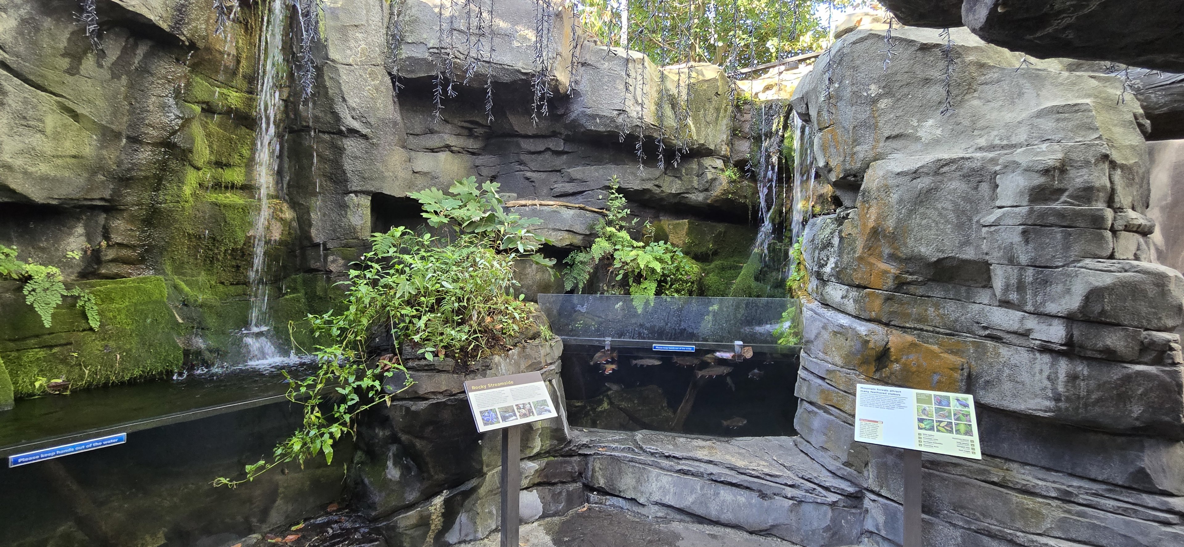 Mountains -  Rocky Streamside