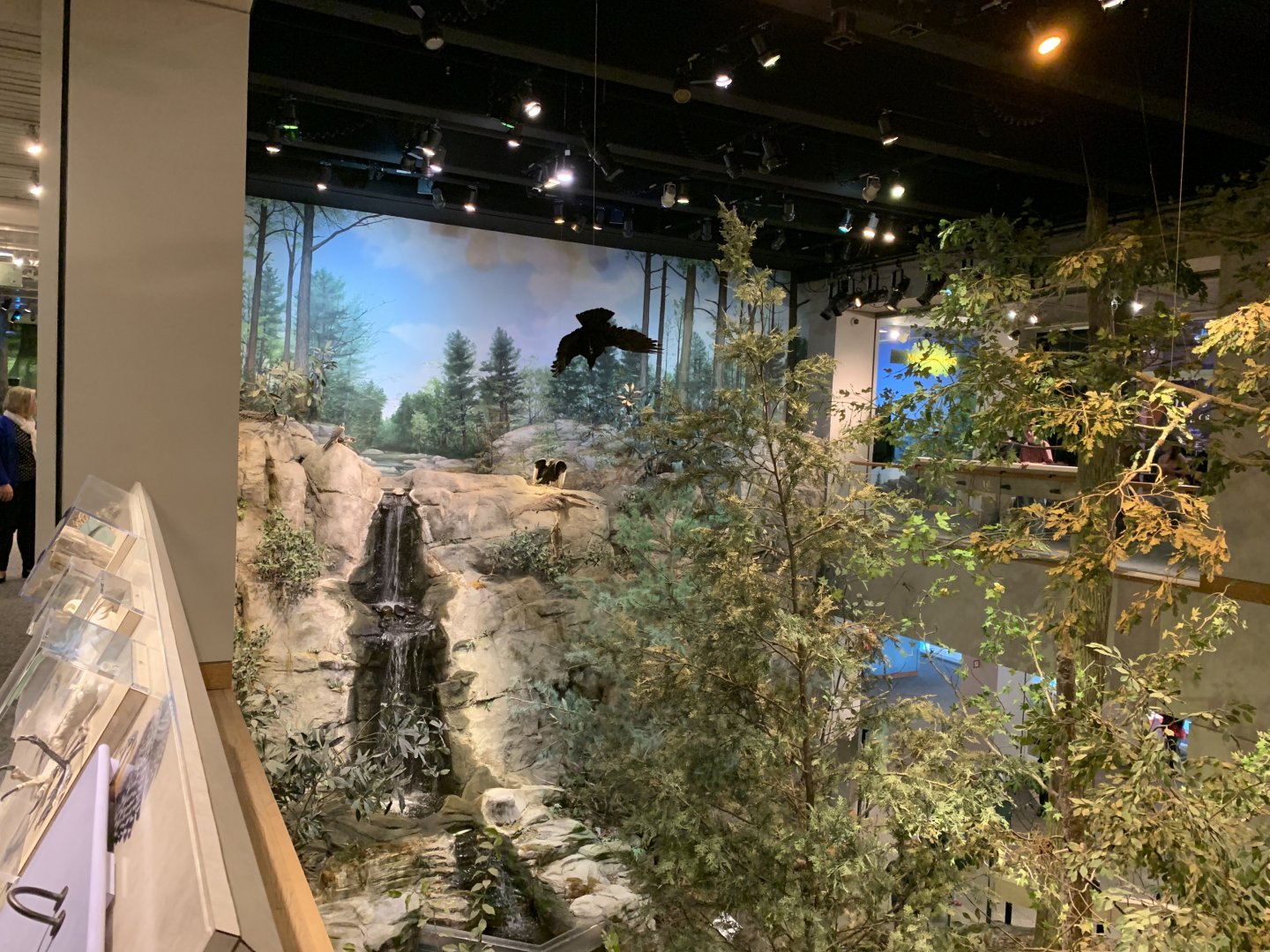 Mountains to the Sea Diorama: Upper Level View