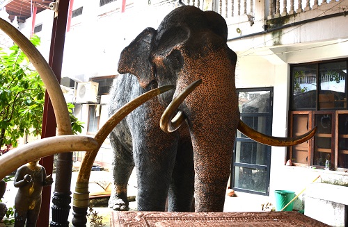 Mounted sacred temple elephant