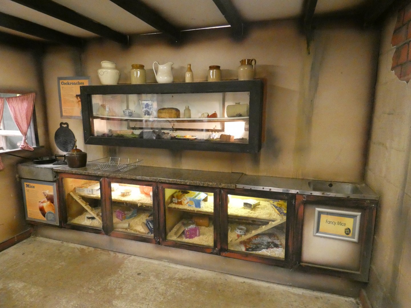 Mouse and Cockroach enclosures