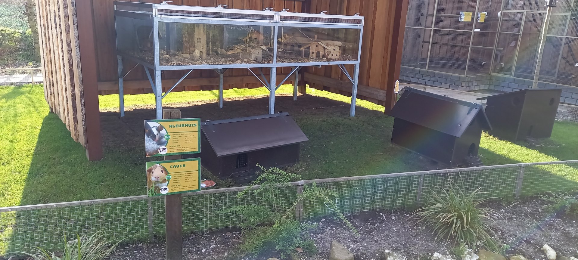 Mouse-city and Guinea-pig enclosure at the keepers-area
