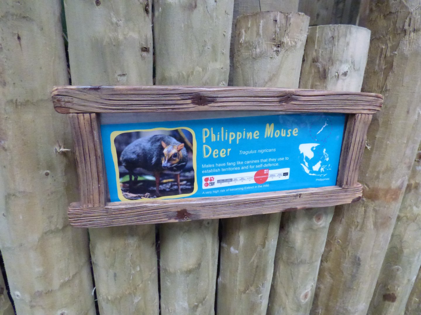 Mouse Deer Signage