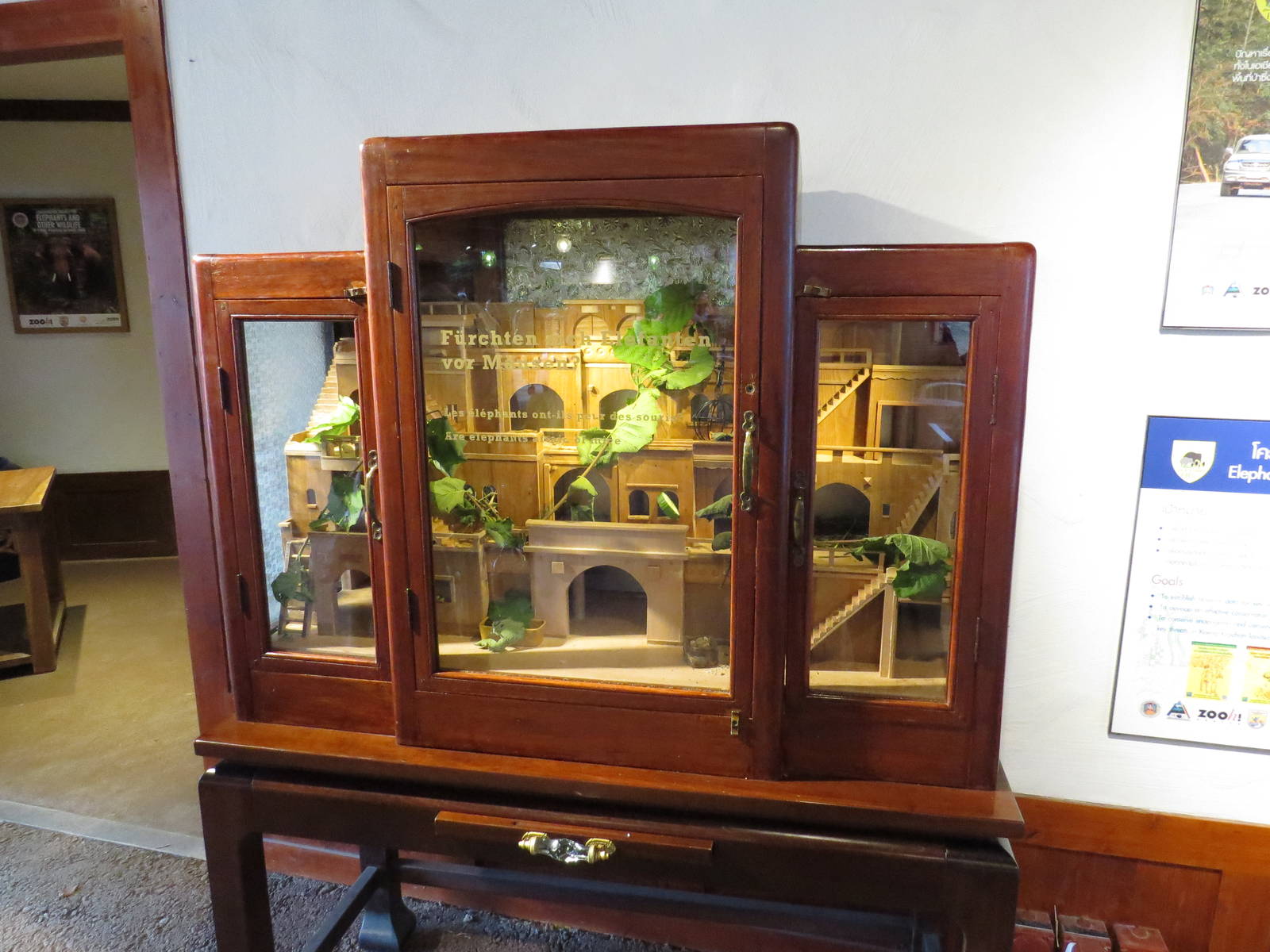 Mouse enclosure, October 2014.