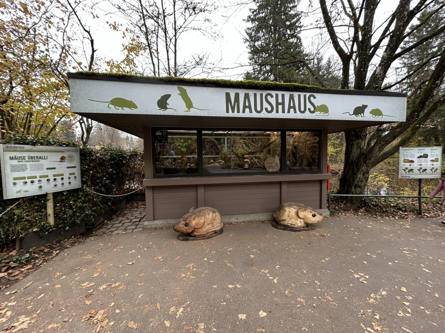 Mouse House (3 species)