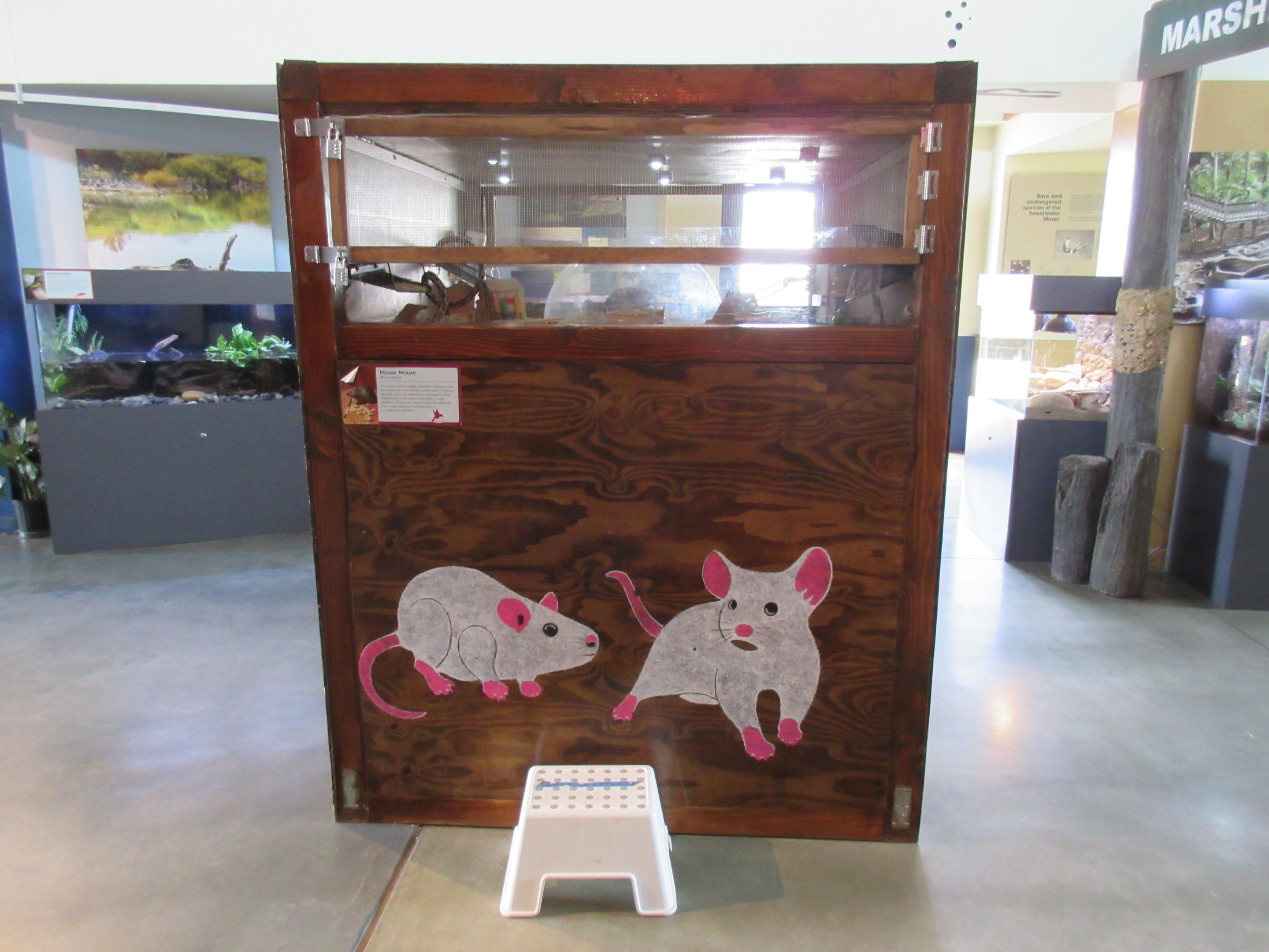 Mouse House (front view)