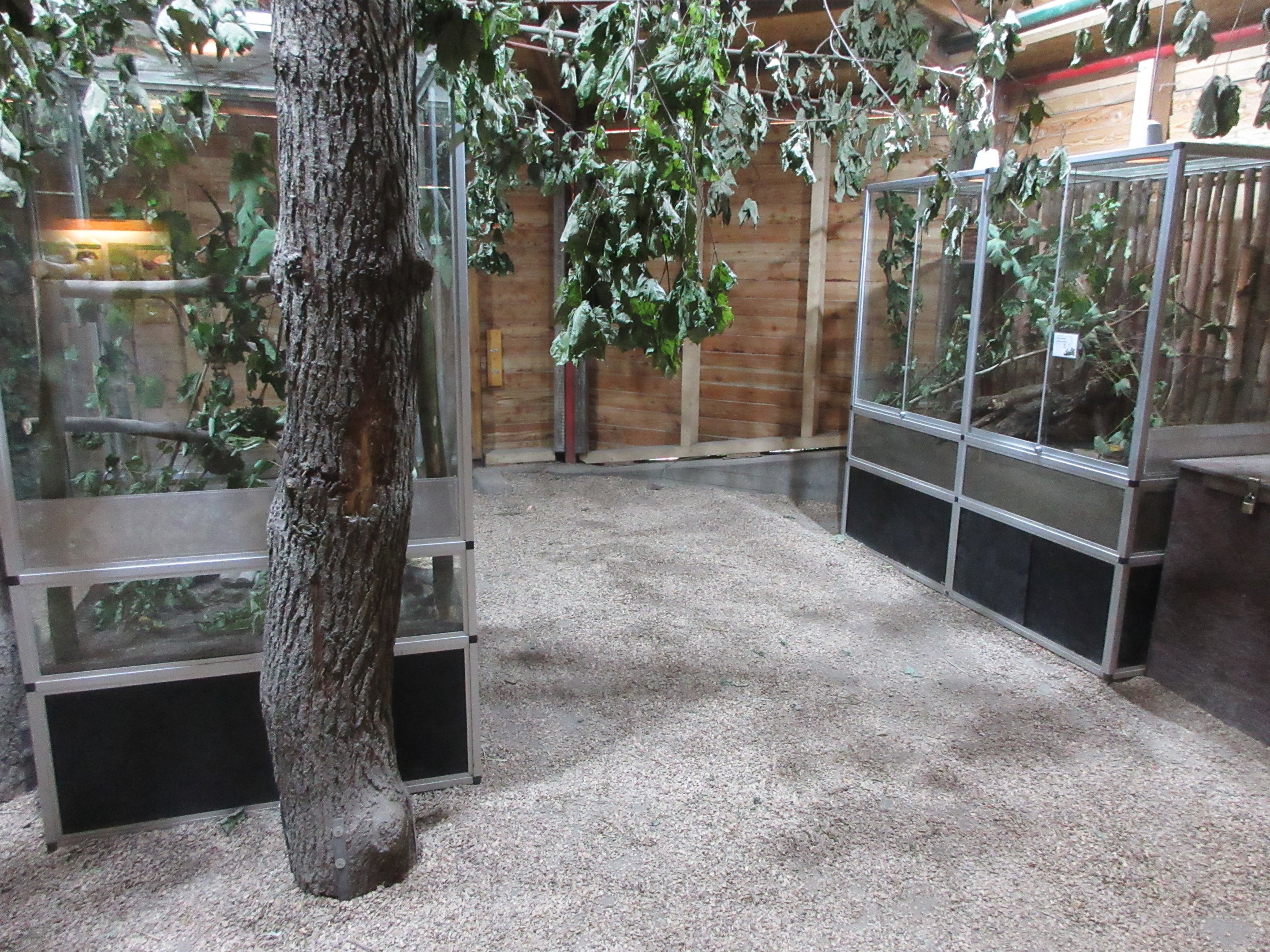 Mouse House - interior