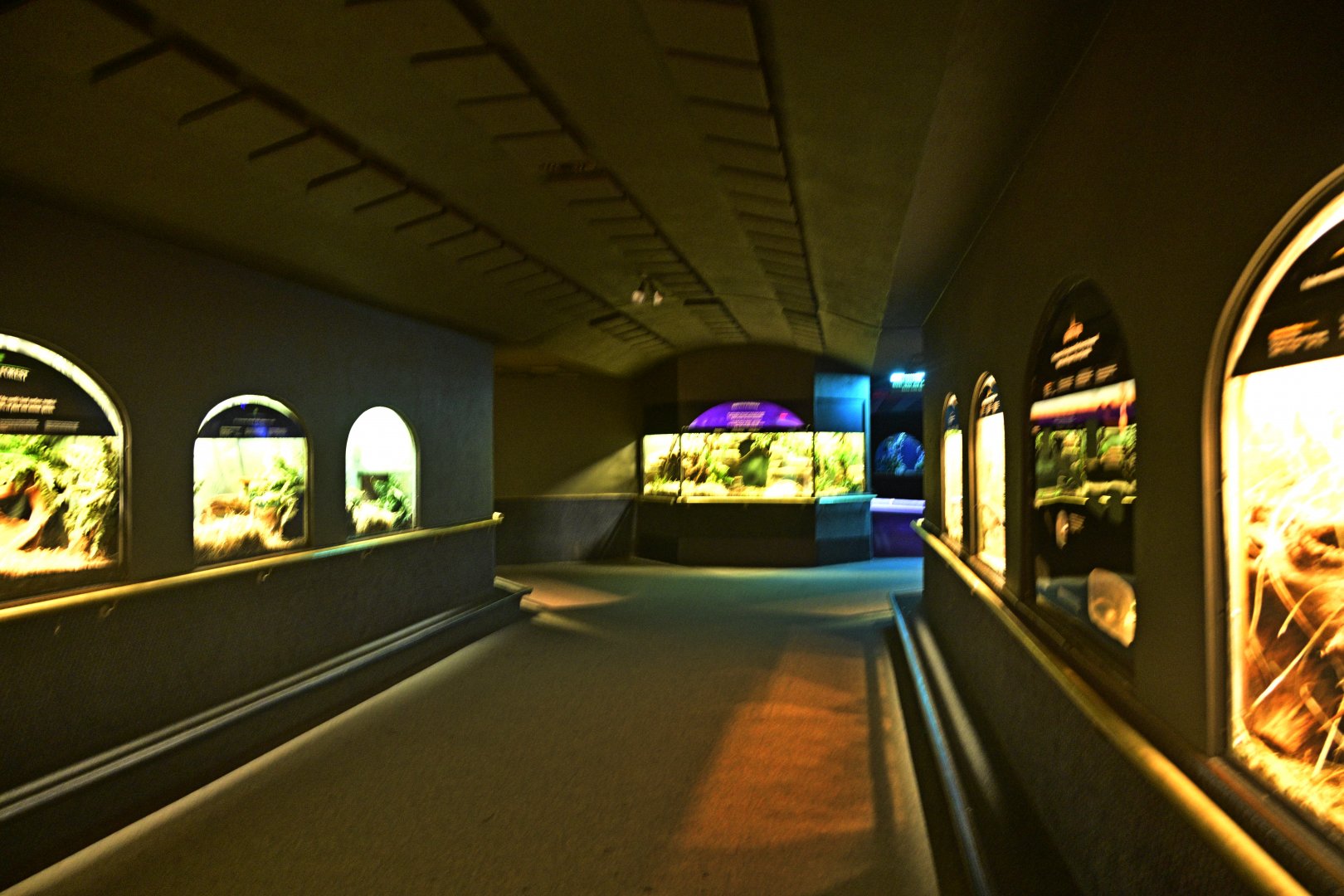 Mouse House - Interior