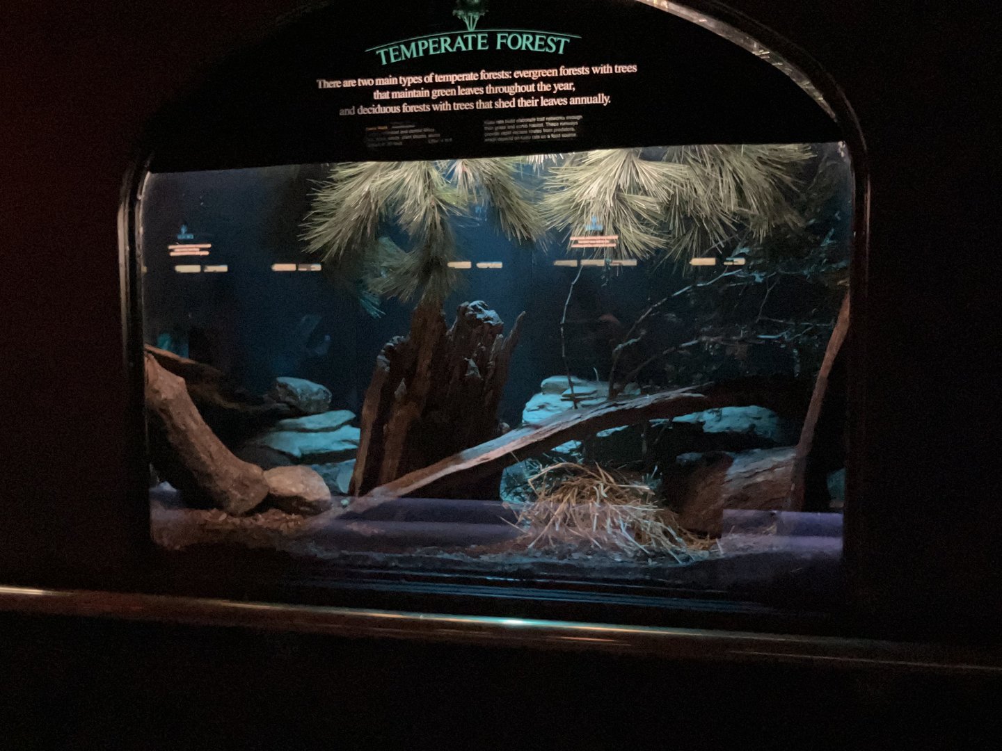 Mouse House - Kusu Rat Exhibit