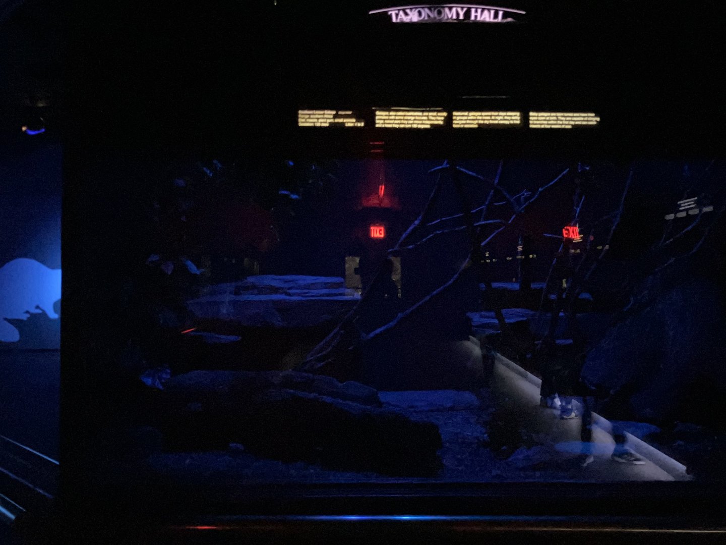 Mouse House - Moholi Bushbaby Exhibit