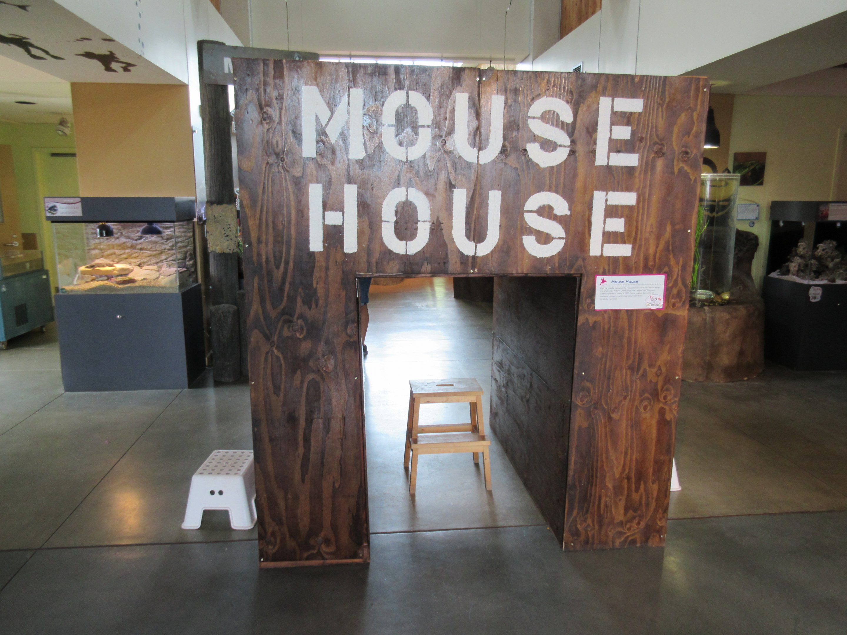 Mouse House (rear view)