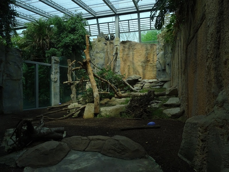 Moustached monkey and rock hyrax enclosure