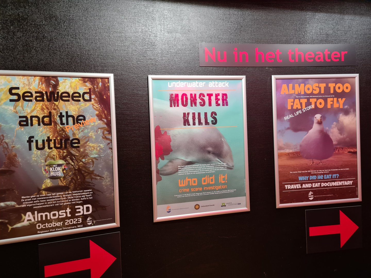 Movie posters near film room