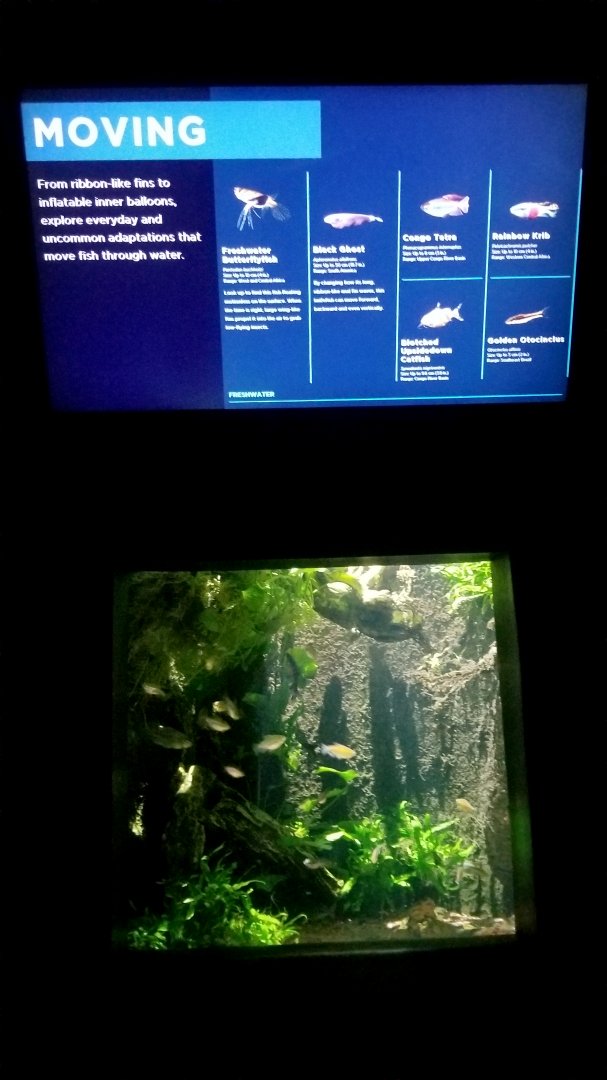 Moving tank, freshwater